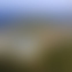 The Hydrogen Stream: KGAL invests in 1 GW green hydrogen hub in Baltic Sea