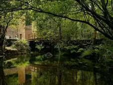 Spain's renewables share declines to 64.6% in April