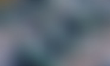 Gresham House wins Octopus battery PPA