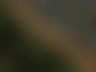 European Energy gets grid connection approvals for projects worth 500 MW