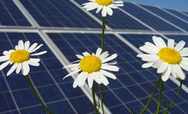 NPUK energises 24MW Pentlow array