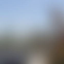   US solar installers list Qcells, Enphase as top brands 