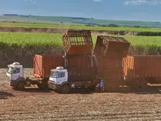 Renewables account for 49% of Brazil's energy in 2023