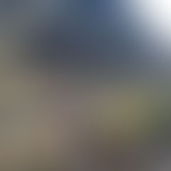 US government reinstates bifacial solar module tariffs