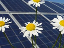Plans for UK solar quartet unveiled