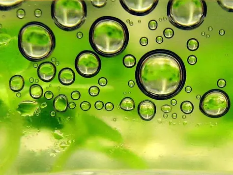 Brazil’s Rio Grande do Sul agrees green hydrogen pact