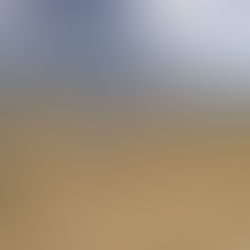 Greek PV group urges halt to large-scale solar licenses amid curtailment