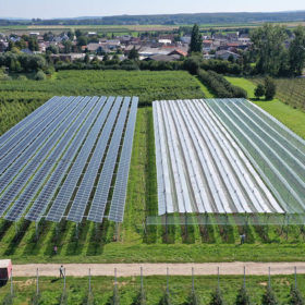   SolarPower Europe releases new guidelines for agrivoltaics 