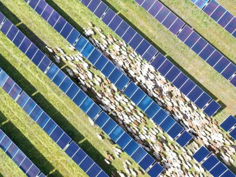 Silicon Ranch to build 110MW Tennessee PV project with electricity co-op