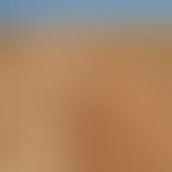   BP moves forward on 10 GW wind-solar complex project with land purchase 