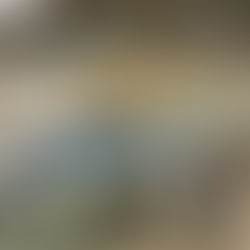 Heliene, Premier Energies announce U.S. solar cell factory