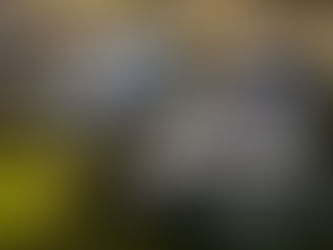 Victoria allocates US$2.7 million for rooftop solar rebate scheme