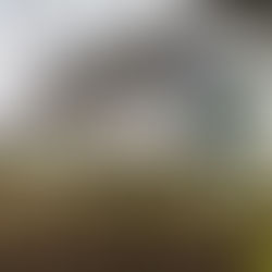 EDF invests in Israeli robotic agrivoltaics startup