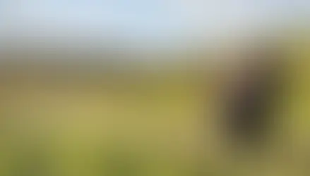 'Windiest part of the UK' could power nearly 500,000 homes