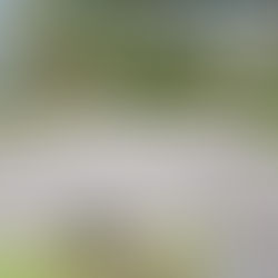   Indonesia’s race to net zero 