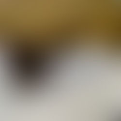   Chinese PV Industry Brief: TCL Zhonghuan reduces wafer prices, TW Solar announces giant solar plant 