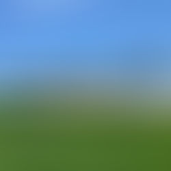   Agrivoltaics can mitigate effects of drought 