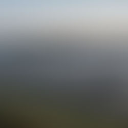 CPX and PanelClaw announce brand merge