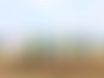 Arevon, CenterPoint Energy break ground on 228MW Indiana PV plant