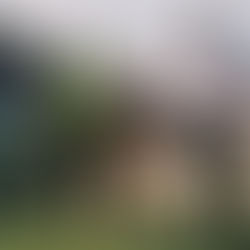 MET Group completes 23.4 MW of solar in Hungary