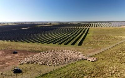 1,200MWh solar-plus-storage project in New South Wales receives Federal government approval