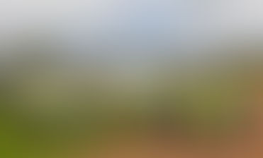 Conrad Energy powers up 45MW UK solar farm