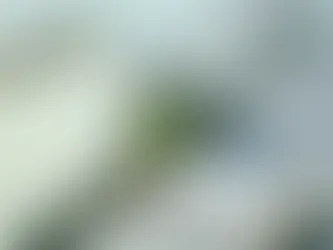 Grupo Cobra, Poland's Raen form JV to push 150 MWp of Polish solar