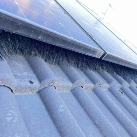 Italian startup offers new bird-protection solution for rooftop PV
