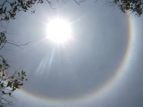 German micro-inverter maker Solarnative goes up for sale