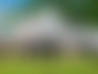 Plug's Q1 net loss expands to nearly USD 300m as revenue drops