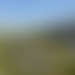 Biodiversity expanding at 138 MW solar project in Hungary