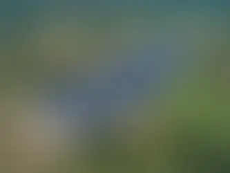 Colombian power firm Celsia rebounds in Q2 2024 with profit up 77%