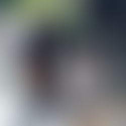   Esdec Solar unveils mounting system for C&I solar 