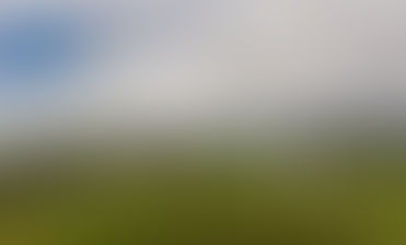 ‘Wind farms offset emissions in two years’