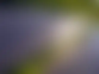 Alfi, MK Group join forces on 16 MW solar project in Serbia