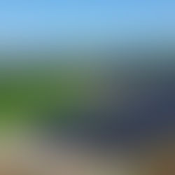 Statkraft signs PPA for 80 MW solar plant, with storage in pipeline