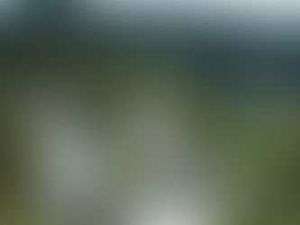 LBNL: Residential solar installations save US homes an average of US$1,987 on energy bills