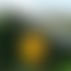 Sinovoltaics updates PV inverter manufacturer financial stability ranking