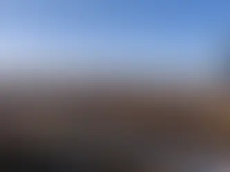 SSE takes FID on 50-MW Scottish wind farm