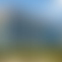 Addressing ESG in an ultra-low-cost environment