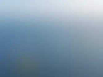 Portuguese regulator invites comments on Tokyo Gas' deal for Windplus