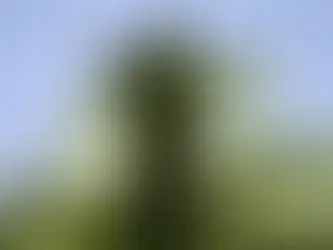 PE firm IPS backs US battery start-up WinBat