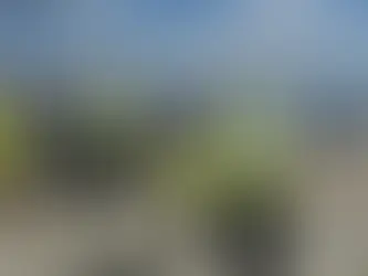 SAPE inaugurates the first state-owned solar park with PNRR funds, worth 7 mln. euro