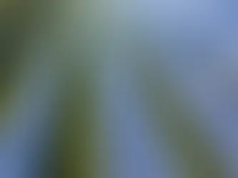 Elgin secures EUR 71m to advance solar, storage pipeline