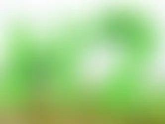 LEAG bags EUR-45m EU funds for German hydrogen, storage project