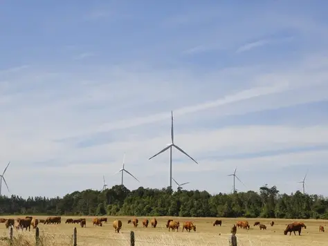 Innergex to unload minority stakes in 826-MW of Texas wind, solar