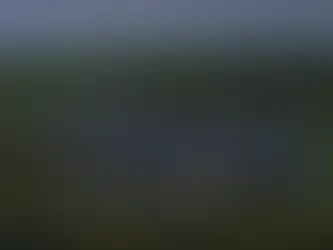 Renewables met 53% of Portugal's power demand in July