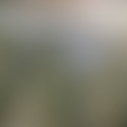 France identifies Carbon, Holosolis PV factories as ‘national interest’ projects