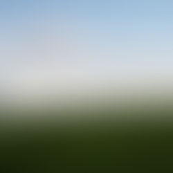   Eneco to build 50 MW/200 MWh project in Belgium 