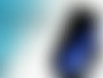 You may be wondering who PPC is (P)